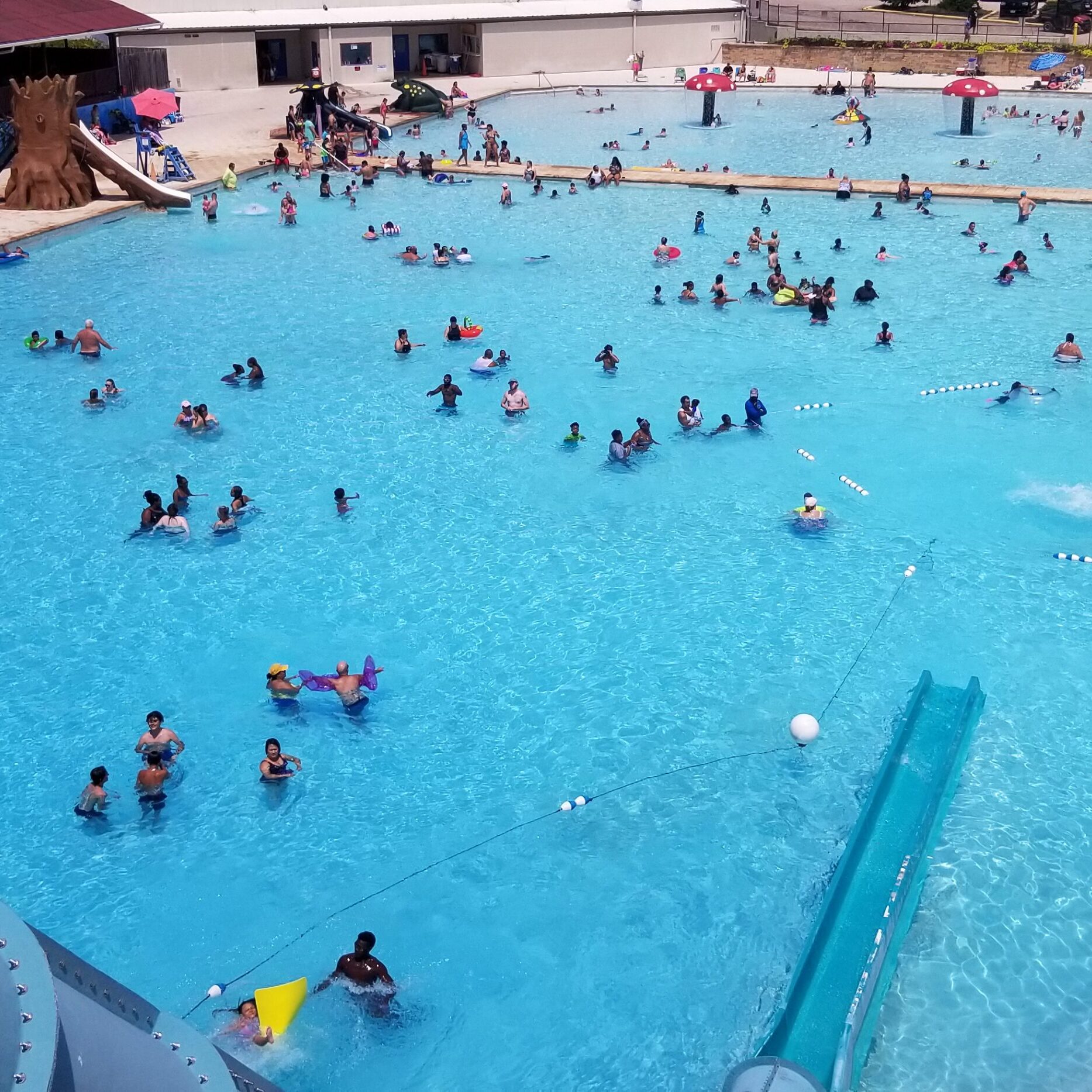 People enjoying a sunny day at a large outdoor swimming pool.